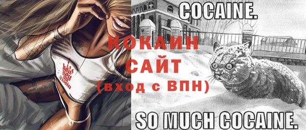 соль ск Аркадак