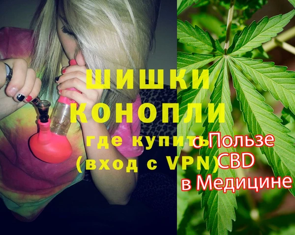 трава Новодвинск