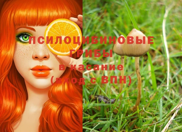 марки nbome Арсеньев