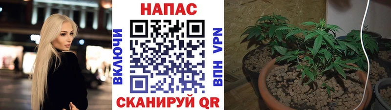 Бошки марихуана гибрид  цены   OMG рабочий сайт  Макаров 